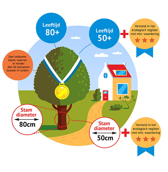 Een infographic over de bomenverordening.